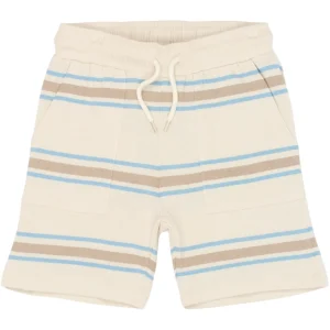 TNThor Shorts - Multi Striped